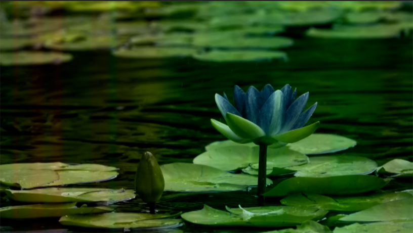 Meditación guiada para dormir profundo y relajarse en un estado emocional agradable